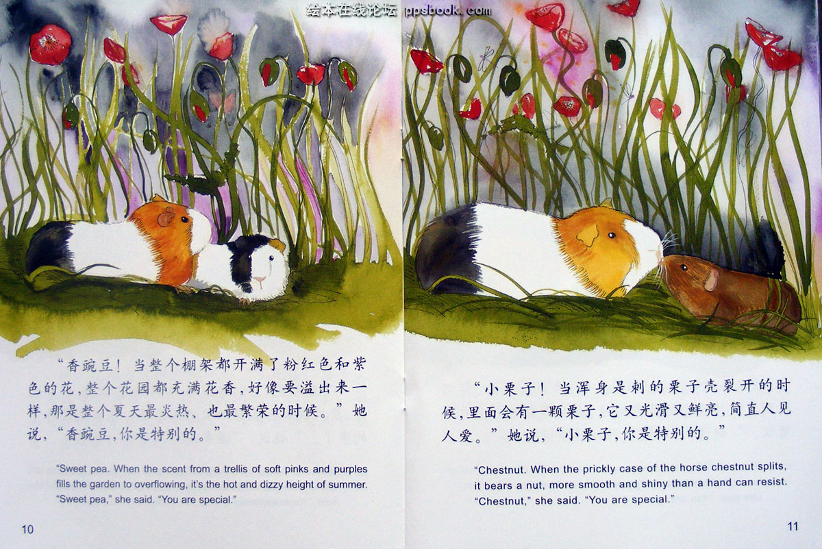 你是特别的 (07),绘本,绘本故事,绘本阅读,故事书,童书,图画书,课外阅读